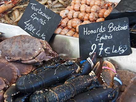 Fishmonger's stall in southern Brittany