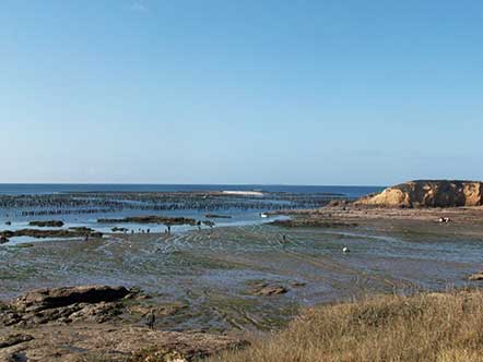 Pêche à pied au camping en bord de mer