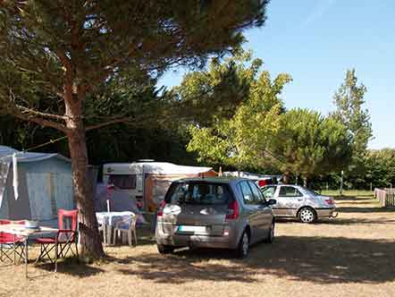 Motorhome pitches at the campsite