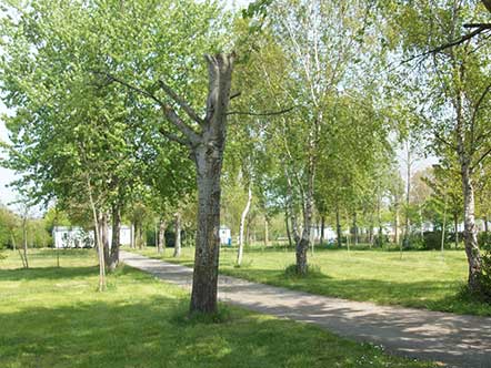 Shaded pitches in South Brittany