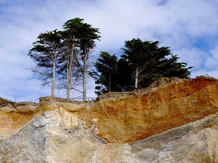 Falaises de la Mine d'Or Pénestin