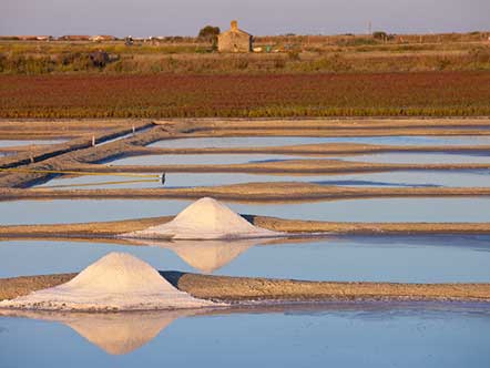 The Gu�rande salt marshes