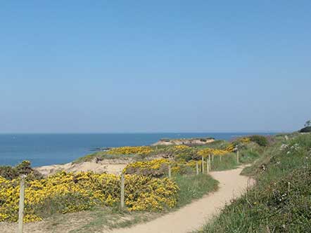 Sentier côtier de Pénestin